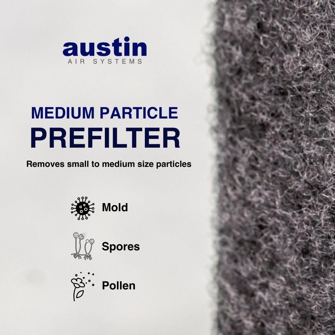 Filtro de Reemplazo Austin Air Healthmate FR400A, Negro
