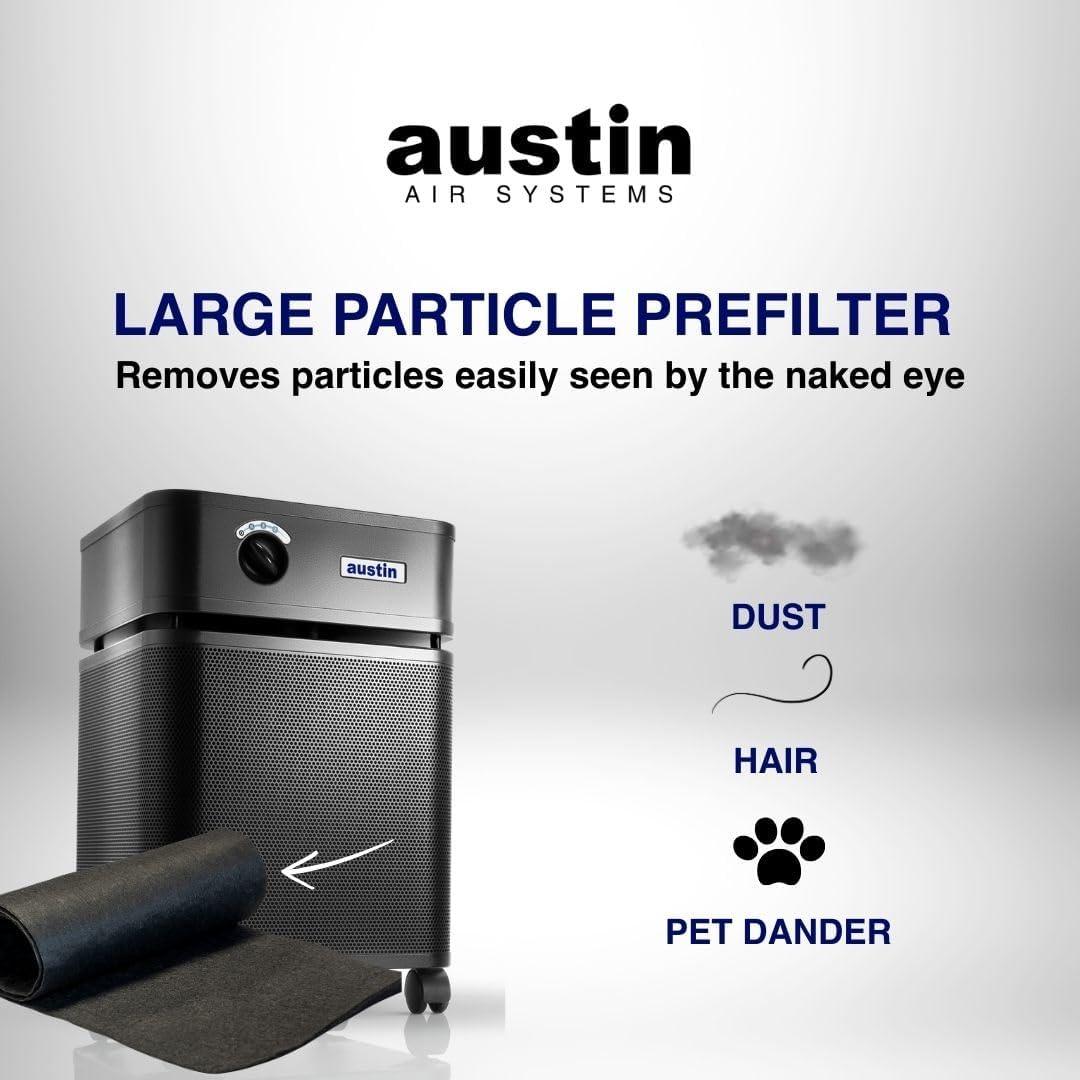Filtro de Reemplazo Austin Air Healthmate FR400A, Negro