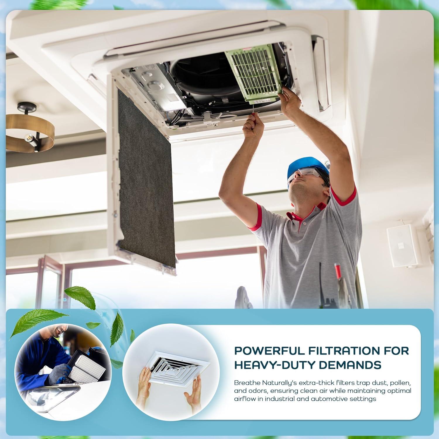 Filtros de Carbón HEPA Respira Naturalmente HAPF600 - Paquete de 4