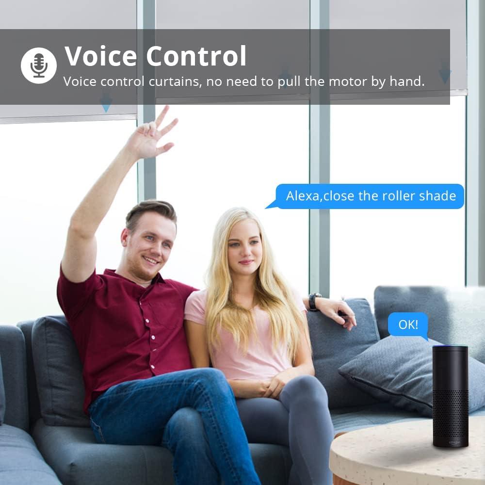 Motor de Persianas Enrollables Blindsmart ZM25TQWIFI-AU 3m 4kg