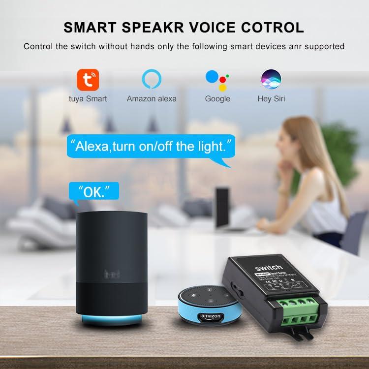 Interruptor Inteligente WiFi SRDKG RF 433MHz 10A 220V