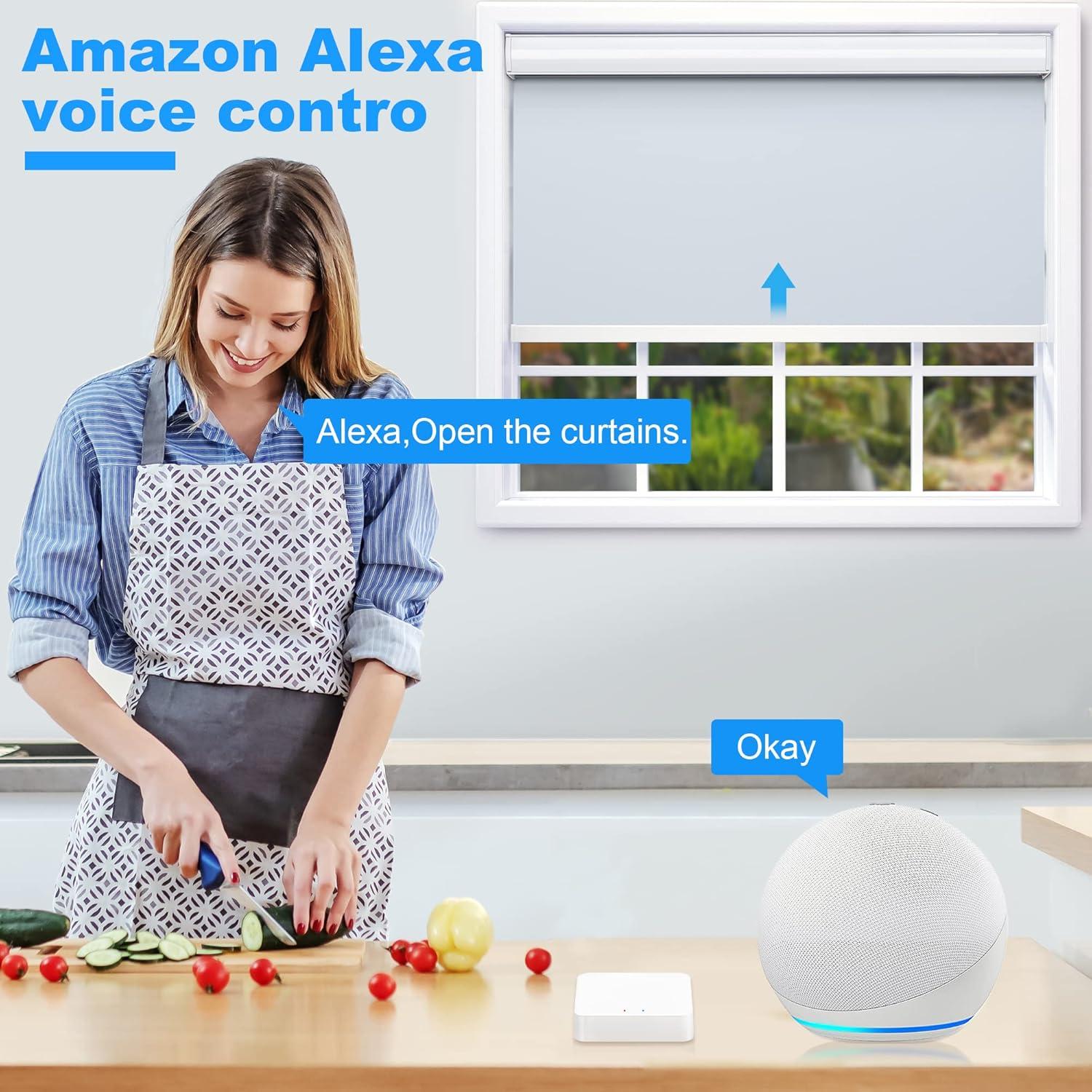 Hub Zigbee JaeJaes para Cortinas Motorizadas V0007/V0008