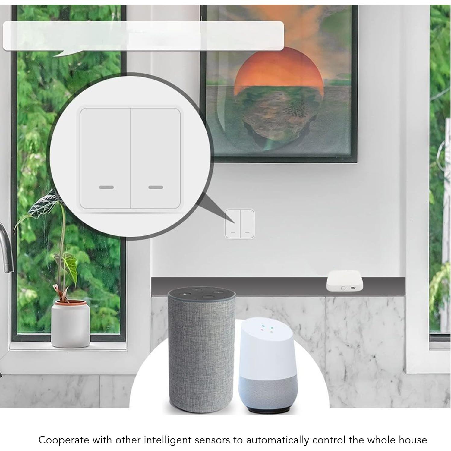 Cerradura Inteligente Bluetooth TOPINCN para ZigBee Control Remoto