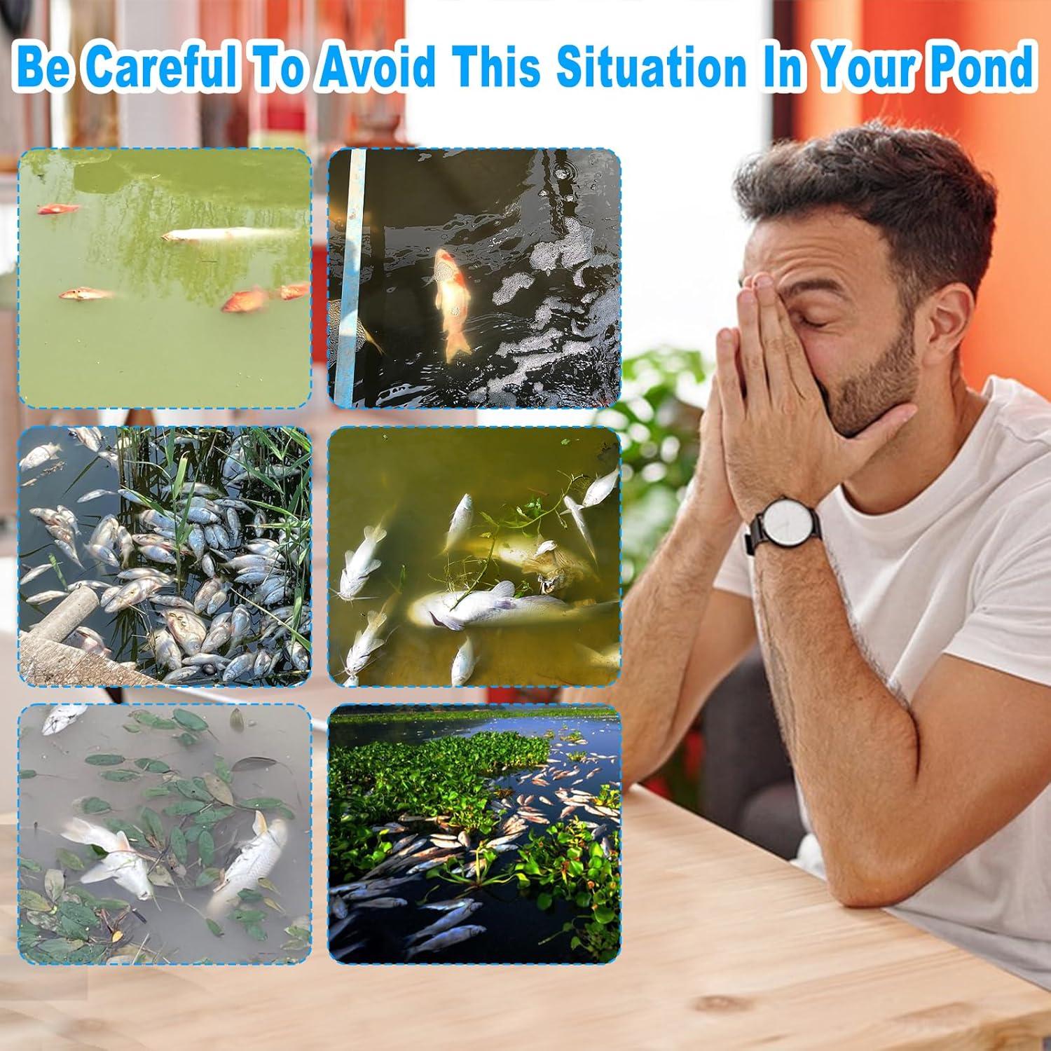 Termómetro de Agua de Estanque WiFi Briidea MK-121 1500W