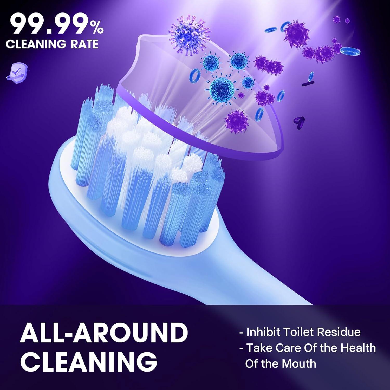 Soporte Esterilizador de Cepillos Shmian BH-012 Negro Doble Taza