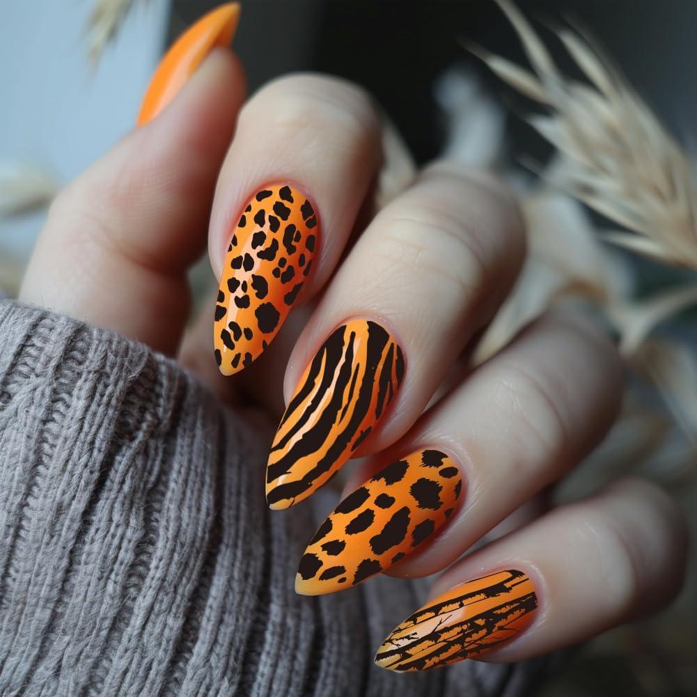 Plantillas de Estampado de Uñas PH PandaHall - 5 Piezas