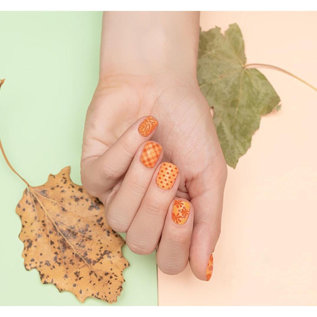 Juego de Plantillas de Estampado de Uñas Otoño ALIBBON 6 Pcs