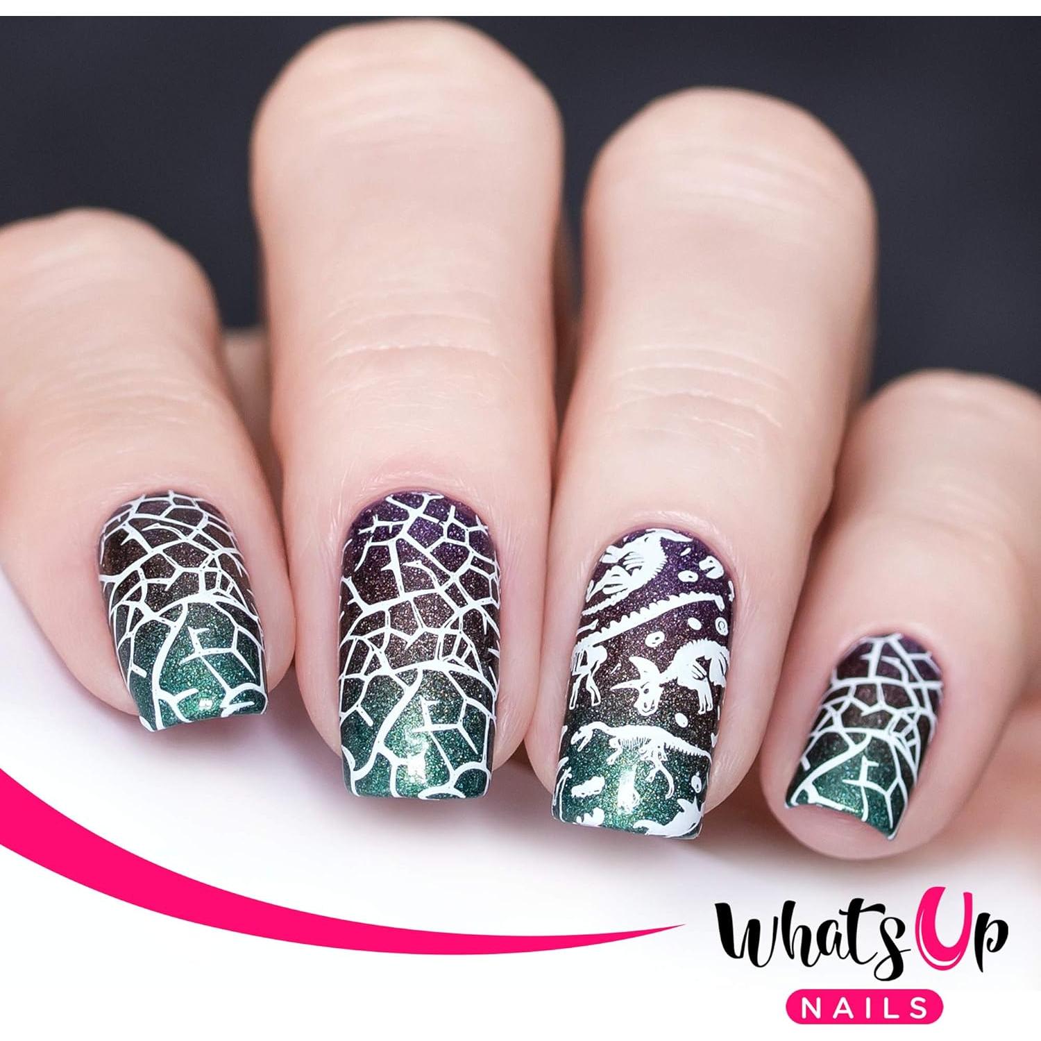 Placa de Estampado para Uñas Whats Up Nails B055 60x120mm