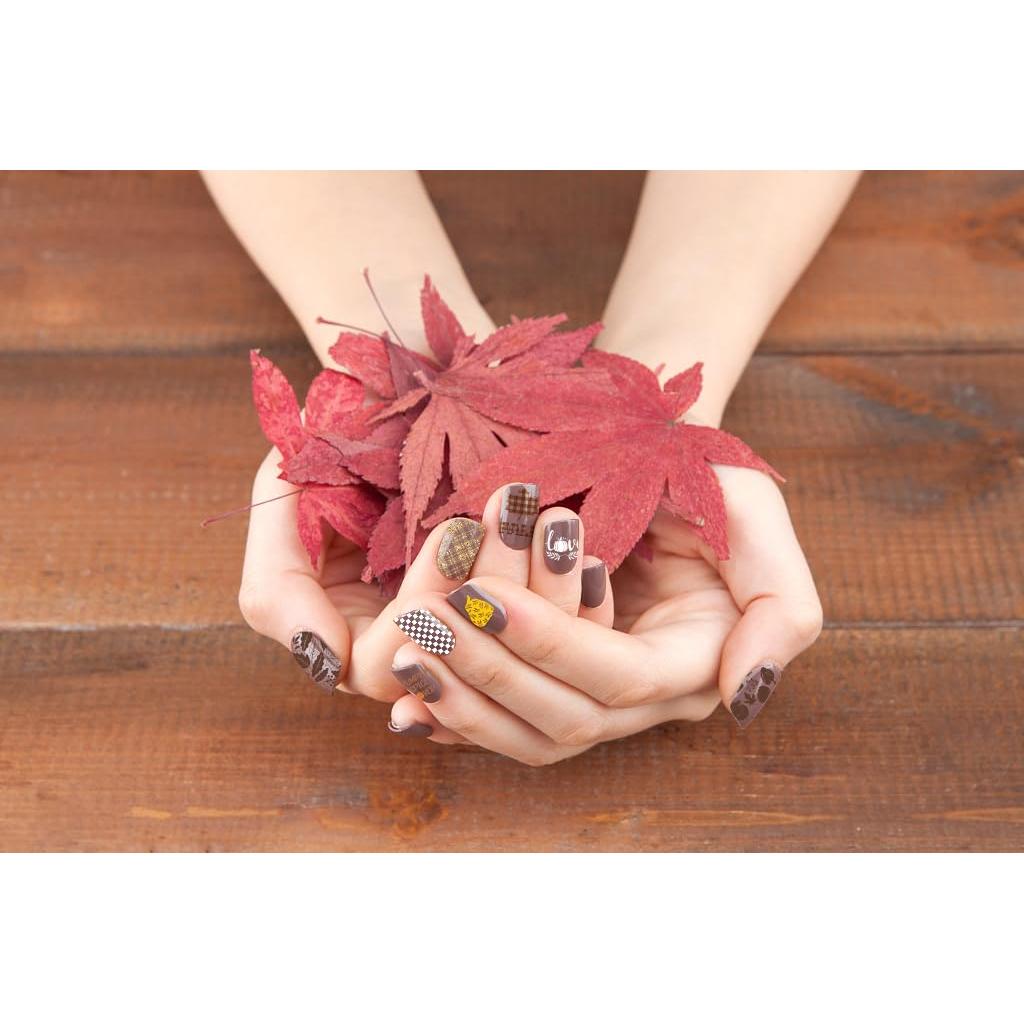 Kit de Placas de Estampado de Uñas Otoño On-Airstore 6 Piezas