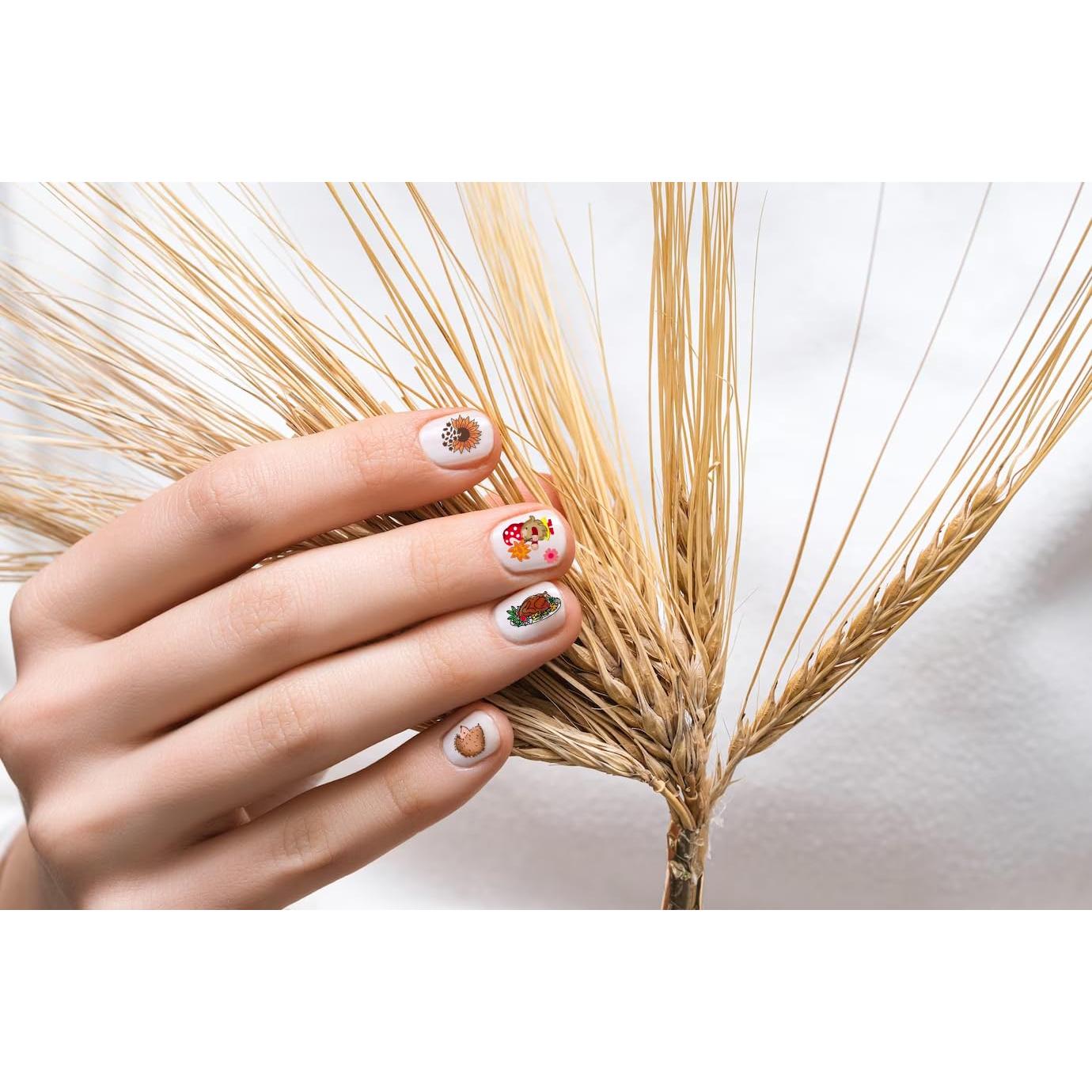 Kit de Placas de Estampado de Uñas Otoño On-Airstore 6 Piezas