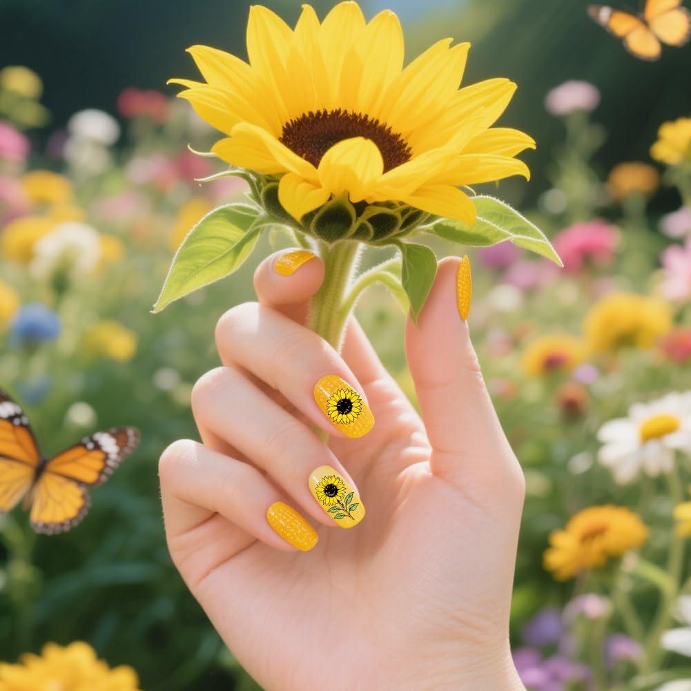 Plantillas de Estampado de Uñas PH PandaHall 9 Piezas Floral