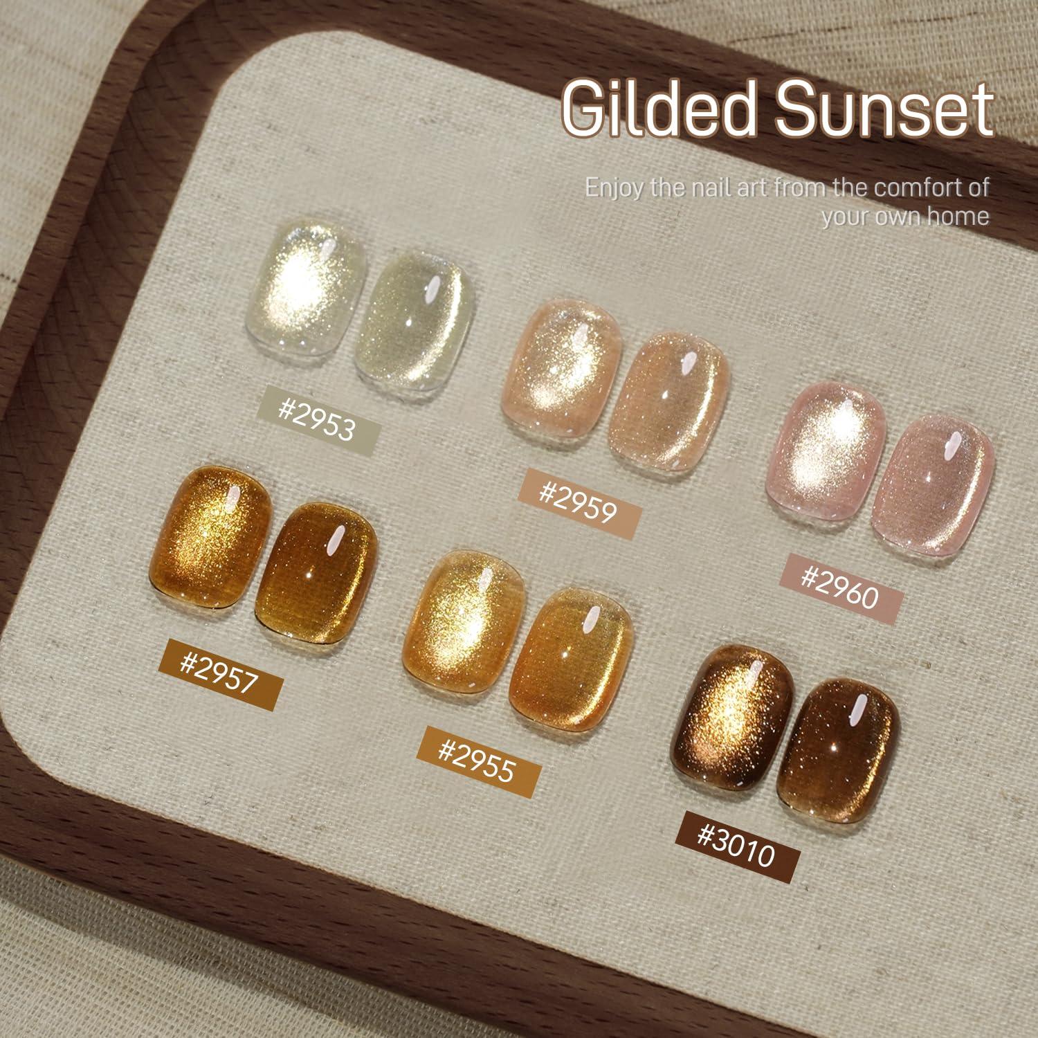 Set de Gel Uña Ojo de Gato GAOY 16ml 6 Colores con Imán