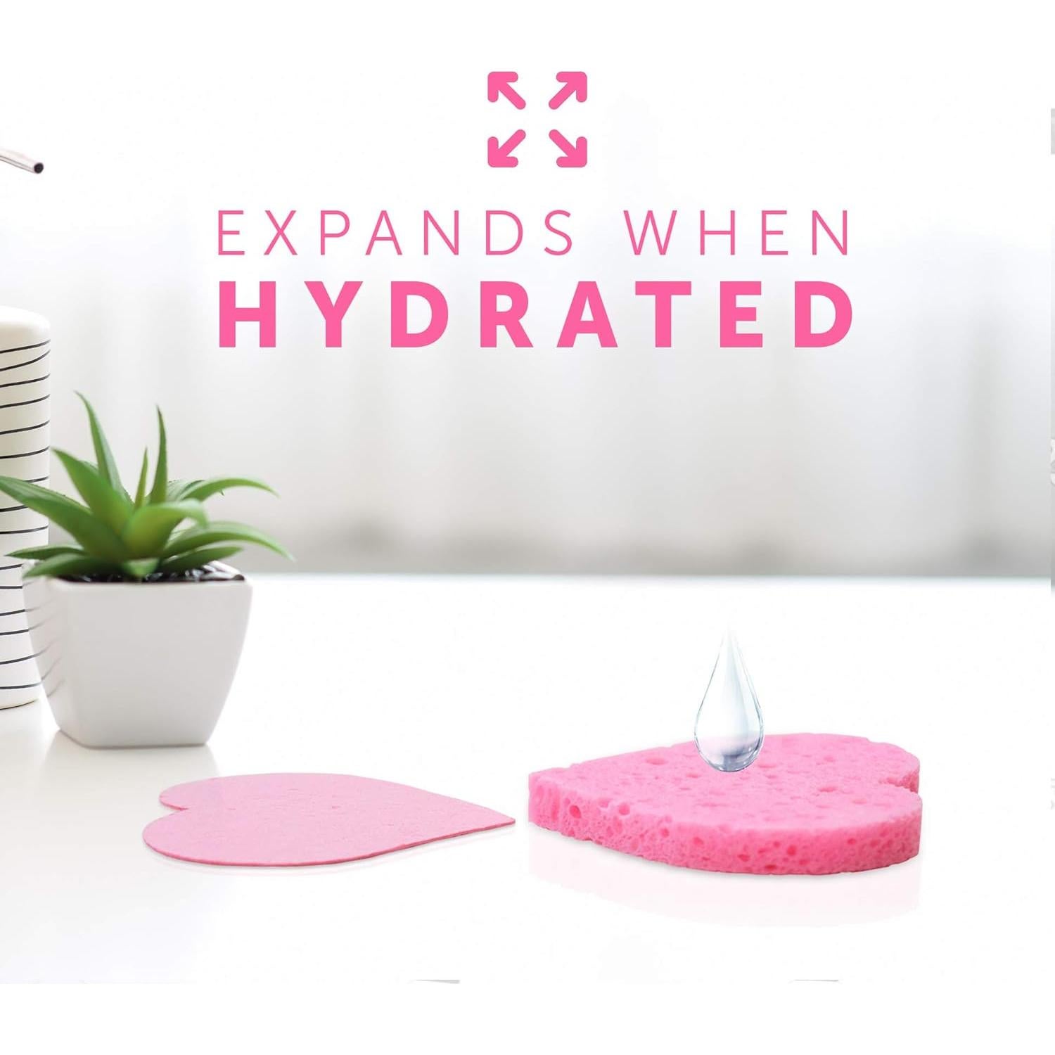 Esponjas Faciales Comprimidas Rejuvv Fushay - 25 Unidades