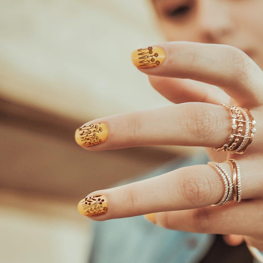 Plantillas de Estampado de Uñas PH PandaHall 3pcs Flores