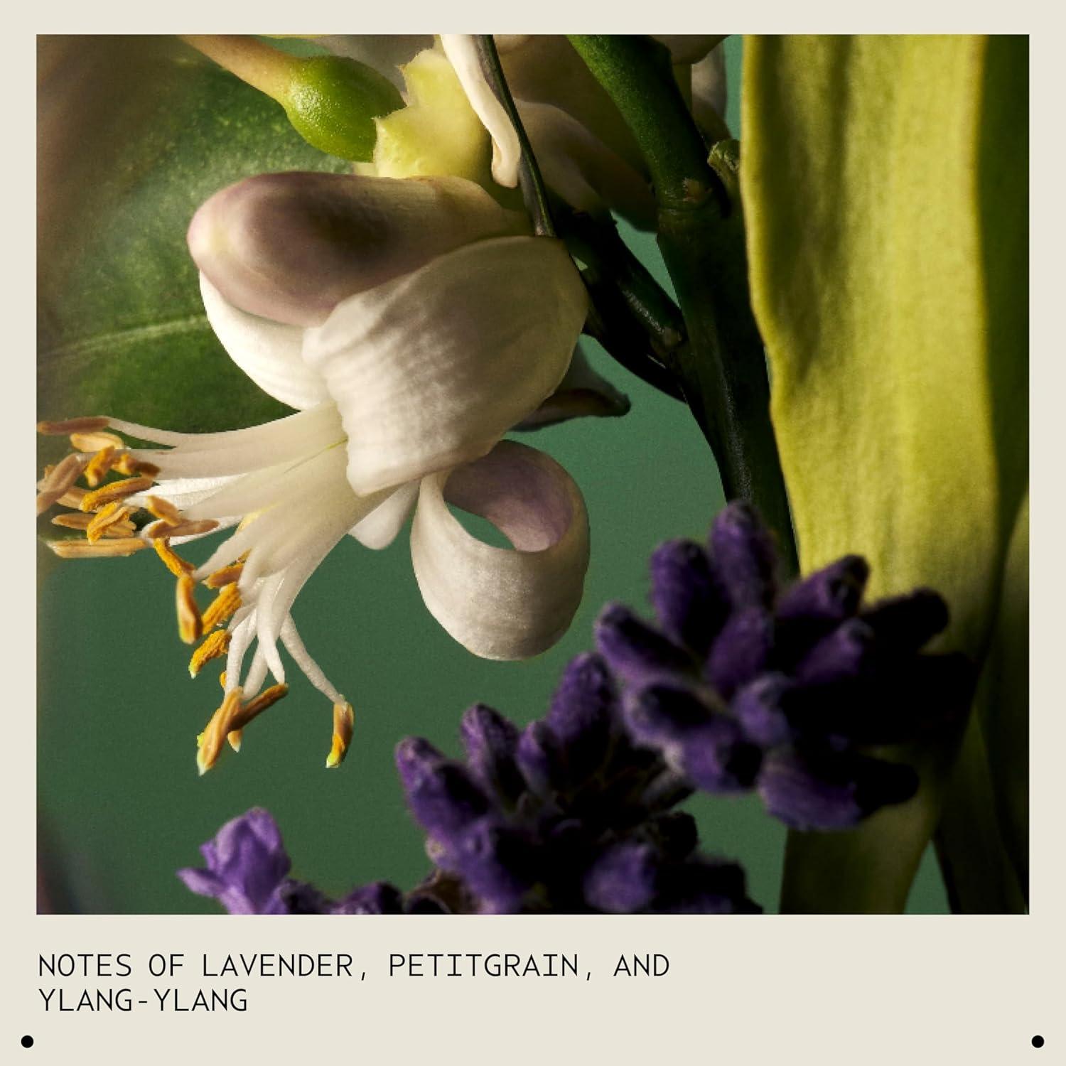 Spray Voluminizador Aveda Abundant Blowout 29.57 ml Vegano