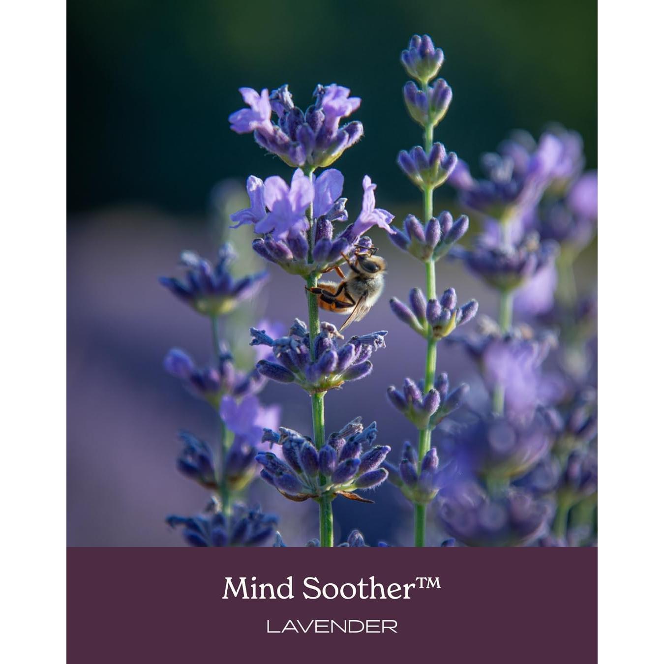 Calmante de Ansiedad Herb Pharm con Kava y Lavanda - 28.35g