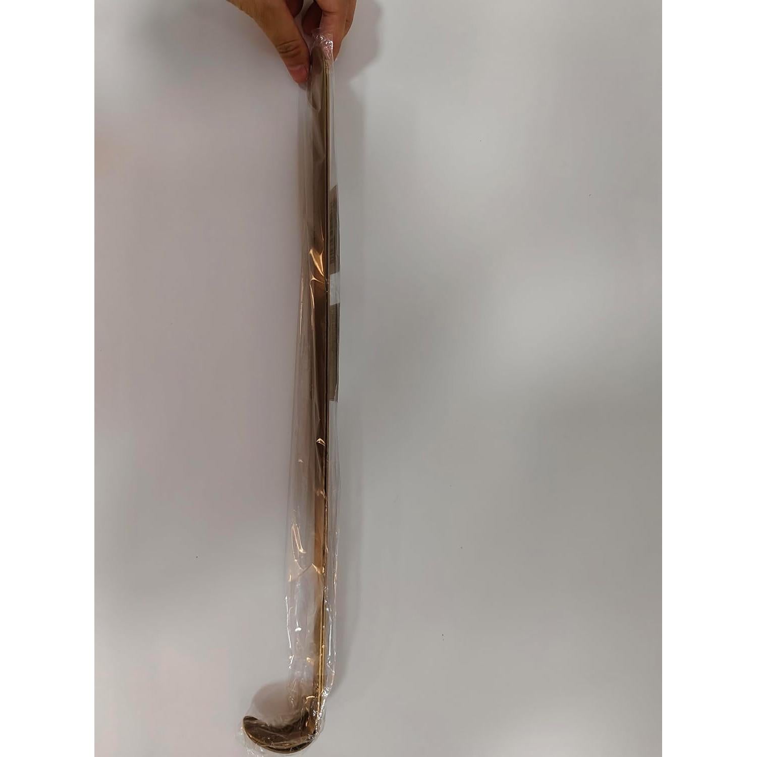 Cuchara para Calzado ZOMAKE Mango Largo 41.91 cm Metal