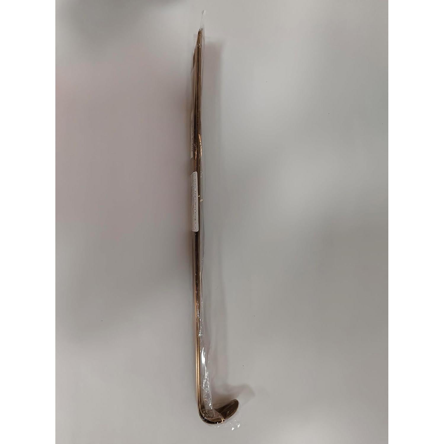 Cuchara para Calzado ZOMAKE Mango Largo 41.91 cm Metal