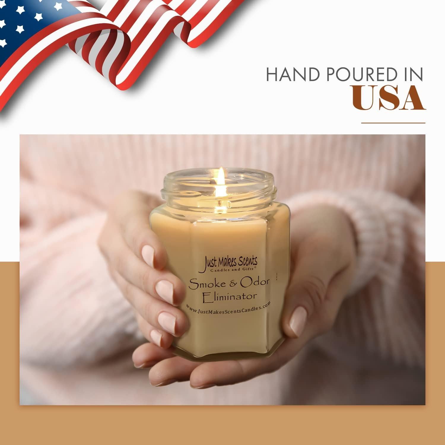 Vela Aromática Eliminadora de Olores Just Makes Scents 226g