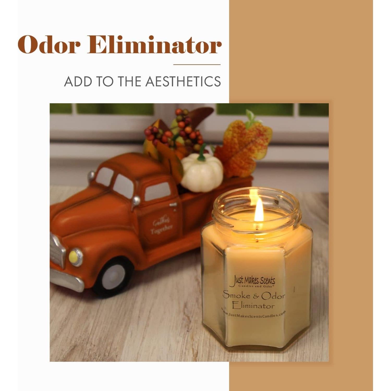 Vela Aromática Eliminadora de Olores Just Makes Scents 226g