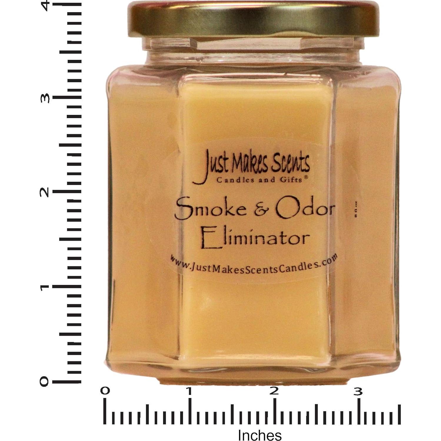 Vela Aromática Eliminadora de Olores Just Makes Scents 226g