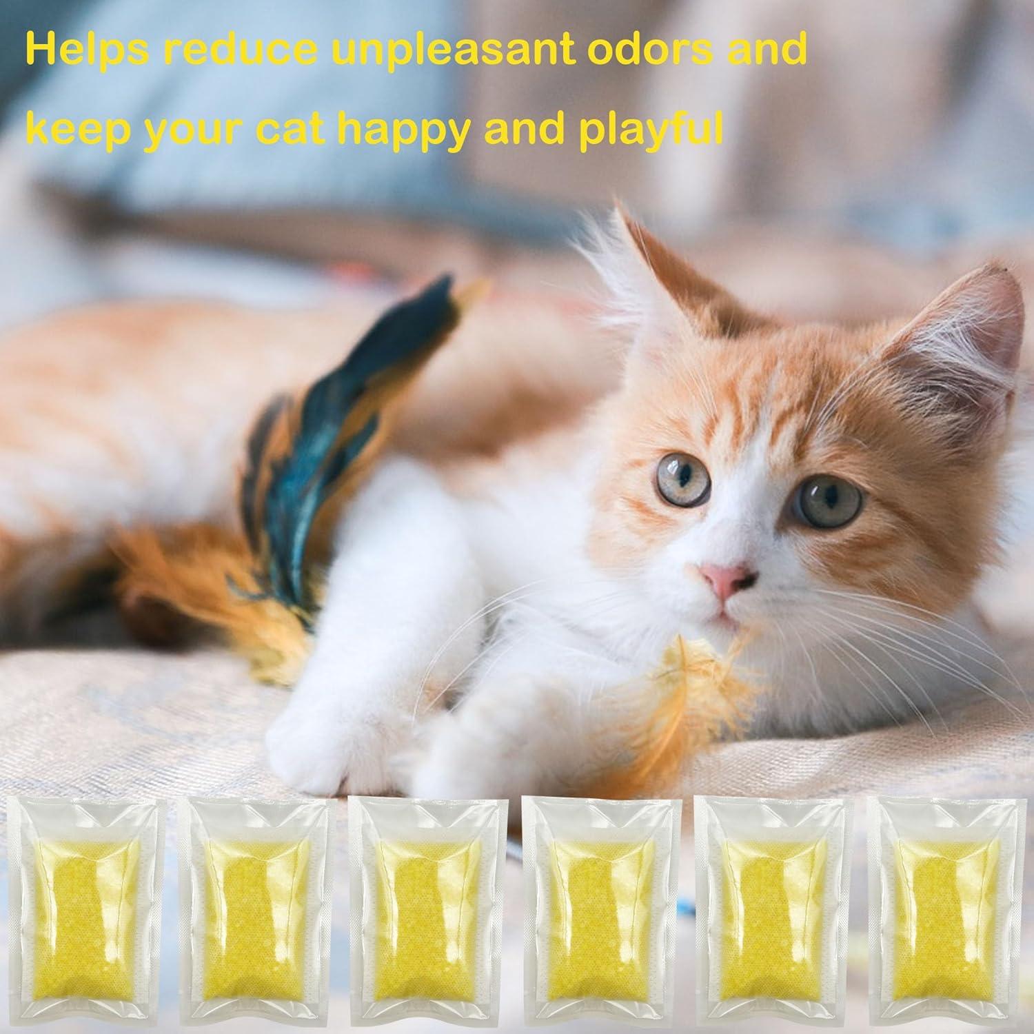 Recargas Eliminadoras de Olores Whisker para Litter-Robot 6 Unidades