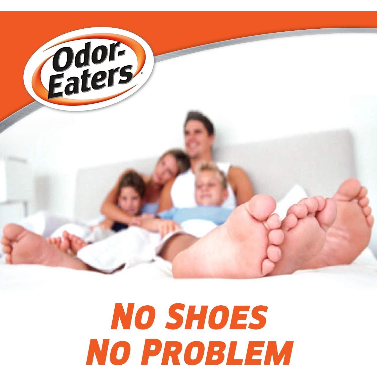 Paquete Dr. Scholl's Polvo Absorbente 198 g y Spray 113 g