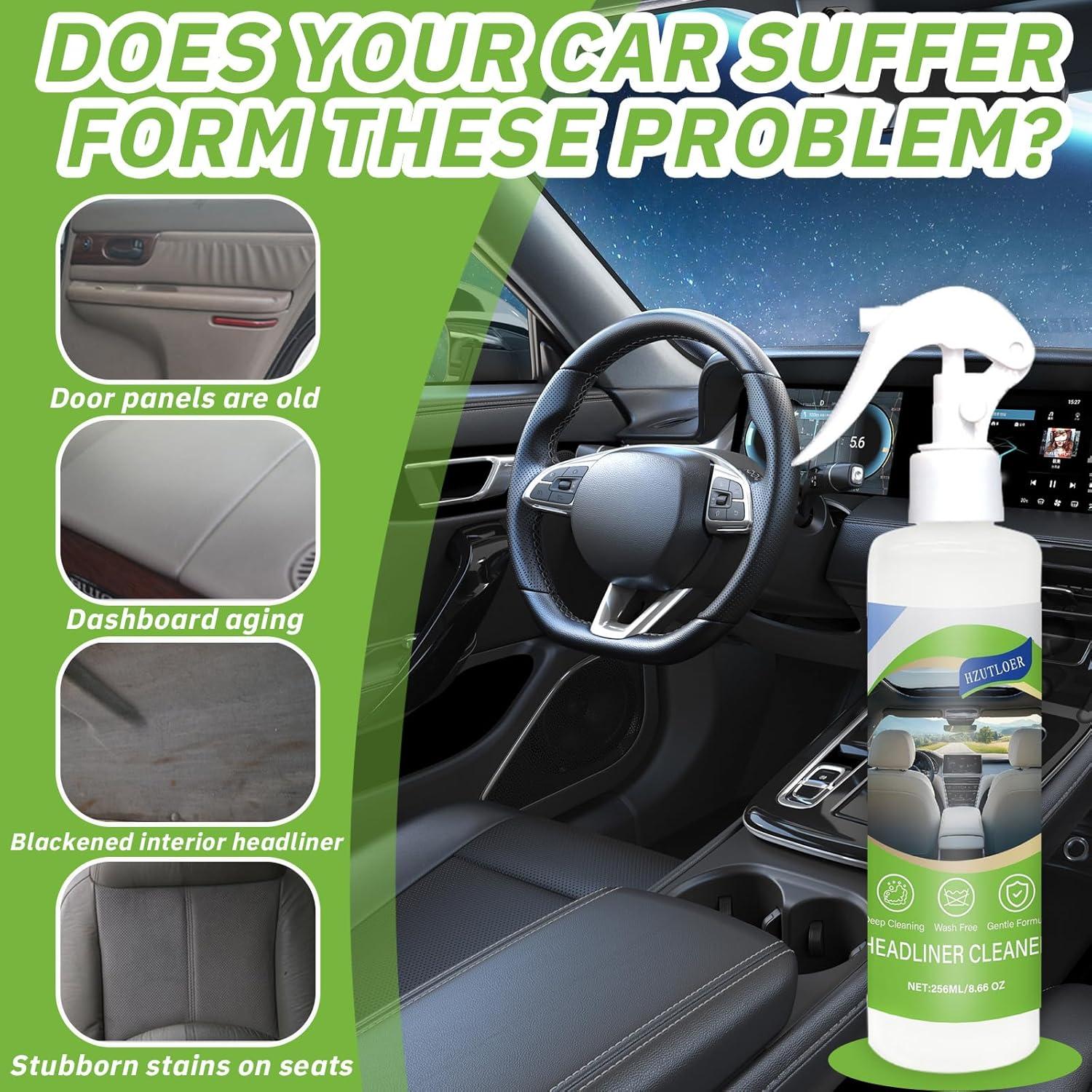 Limpiador Multifuncional de Techo de Coche Hzutloer 256 ml