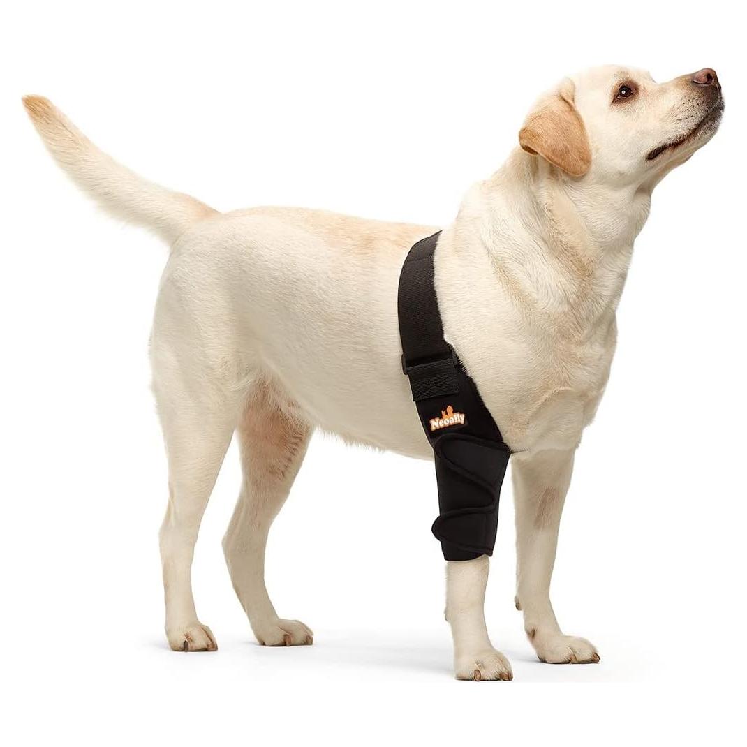 Protector de Codo NeoAlly Mediano para Perros - Pierna Derecha