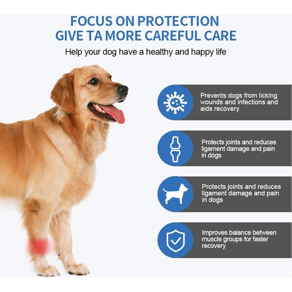 Protector de Codo para Perros RDOPODNJ - Almohadillas SBR