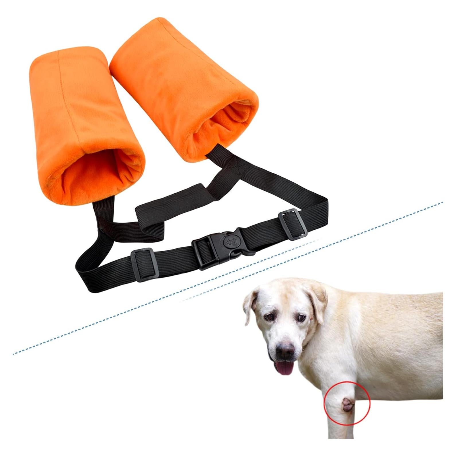 Protector de Codo para Perros YUYUSO Grande con Almohadilla