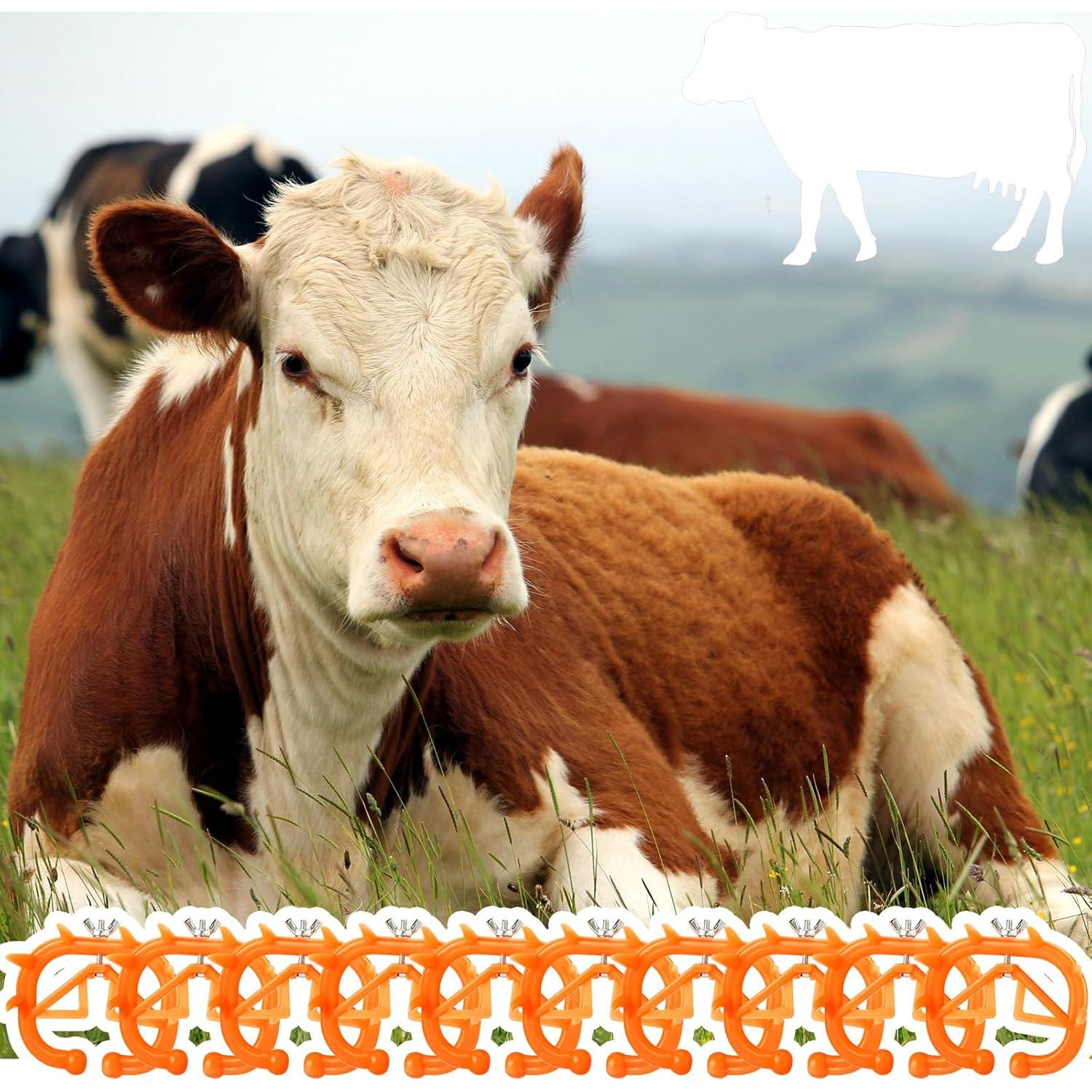 20 Anillos Nasales de Plástico para Ganado Teenyyou - Naranja