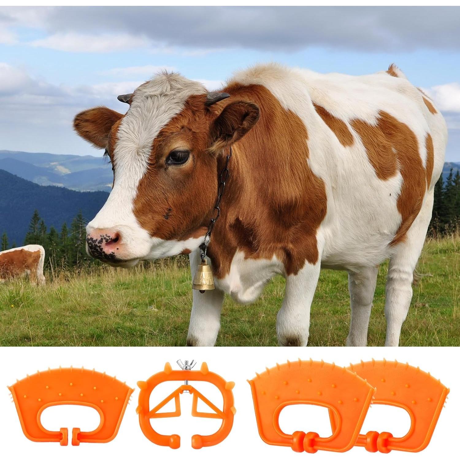 20 Anillos Nasales de Plástico para Ganado Teenyyou - Naranja