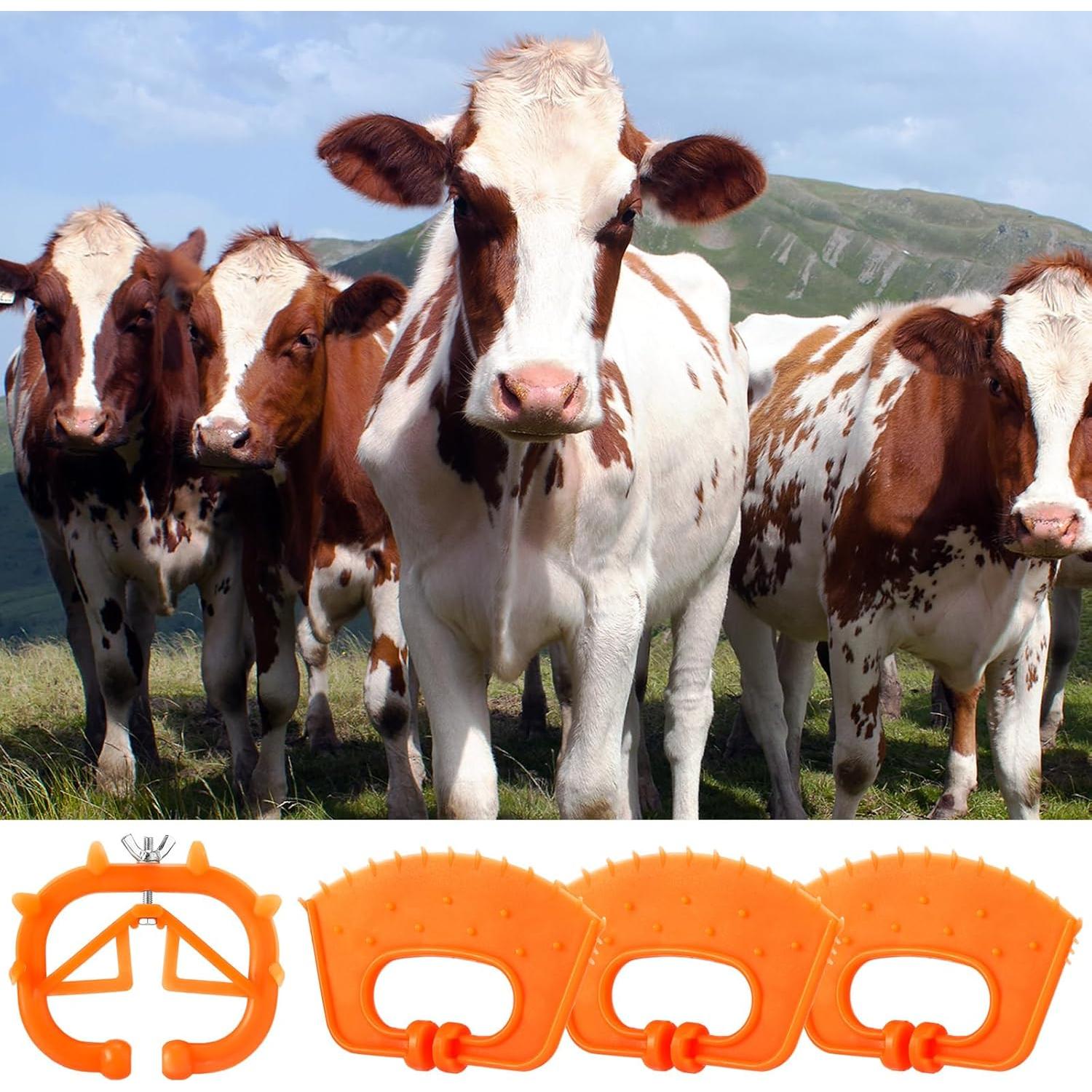 20 Anillos Nasales de Plástico para Ganado Teenyyou - Naranja