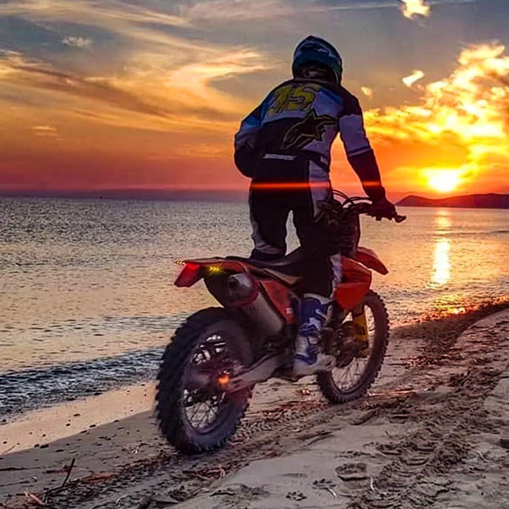 Luz Trasera LED Goodfitment 12V con Señales de Giro