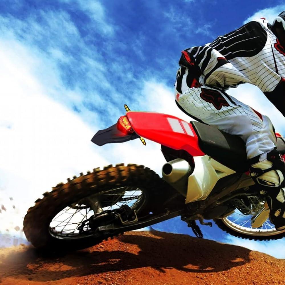 Luz Trasera LED Goodfitment 12V con Señales de Giro