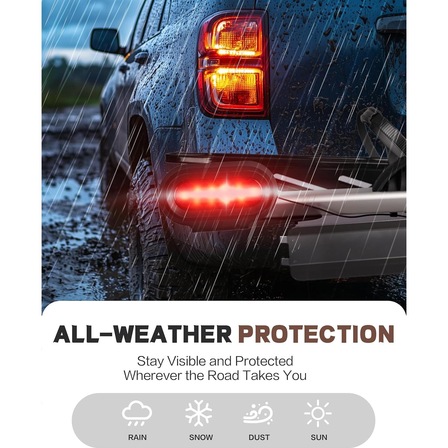 Kit Luz de Freno y Placa Young LED Ovalada 10 LEDs 12V