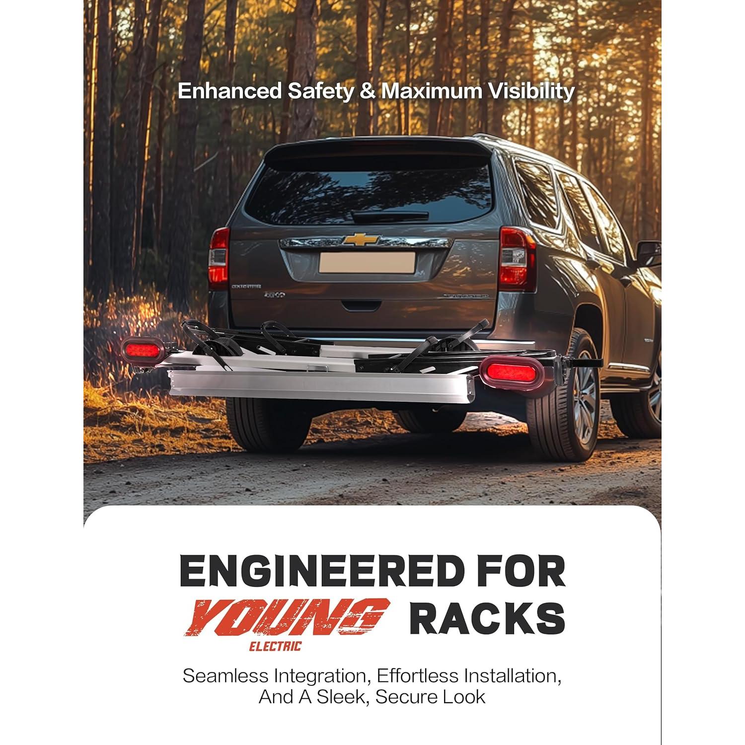 Kit Luz de Freno y Placa Young LED Ovalada 10 LEDs 12V