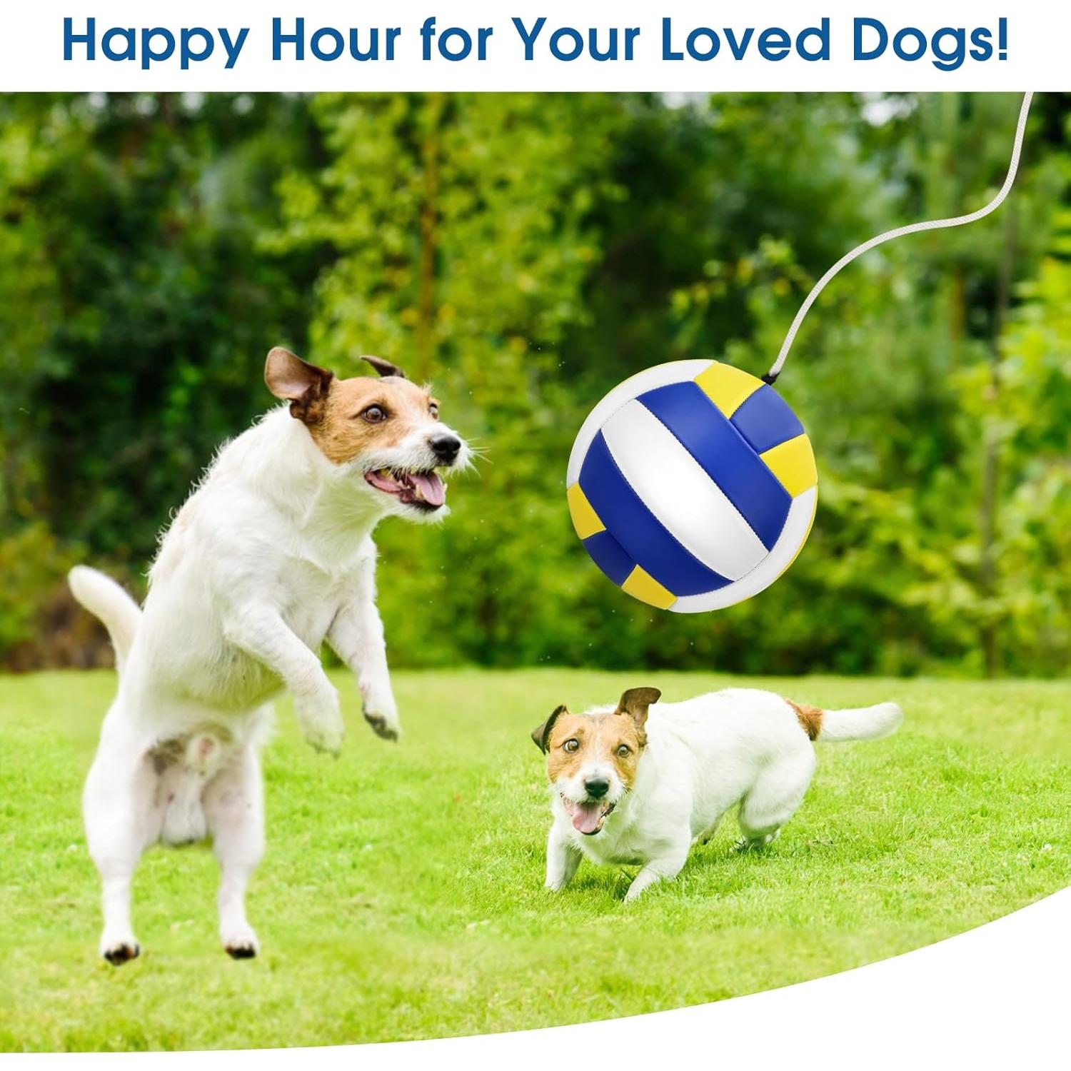 Conjunto Tetherball Hamino Azul - Pelota 22cm, Cuerda 2m, Bomba