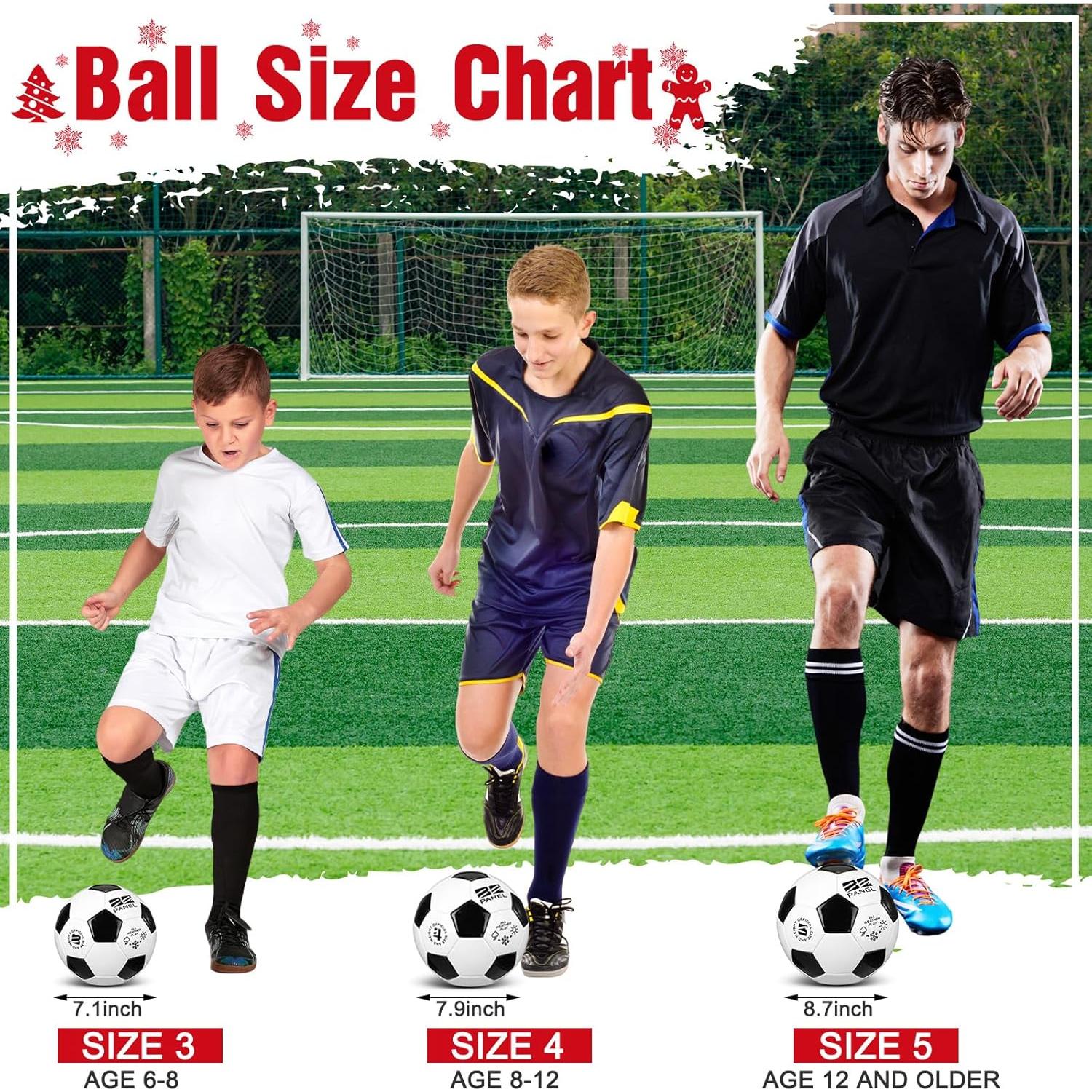 Set 4 Balones de Fútbol Shappy Tamaño 5 con Bomba y Bolsa