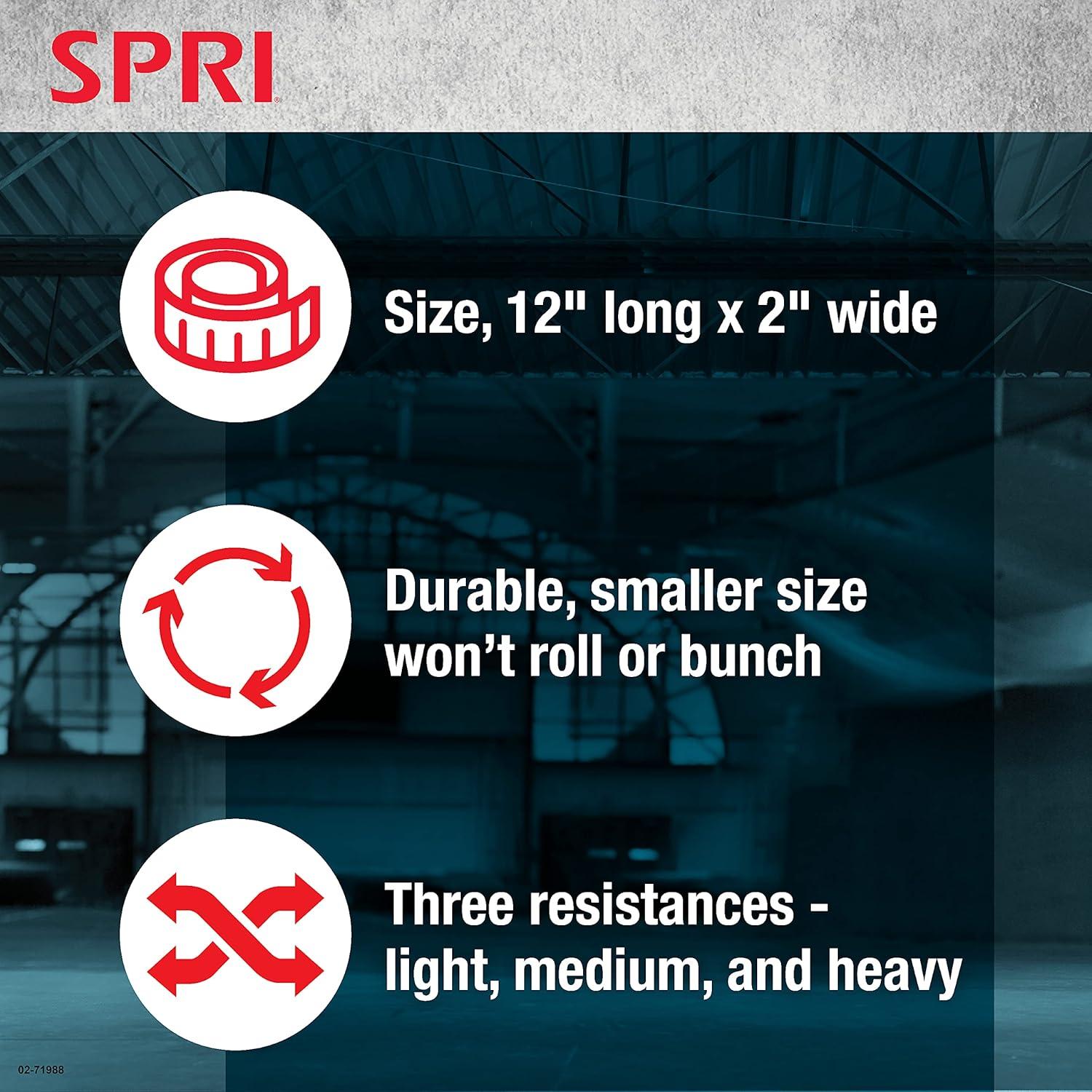 Kit de Bandas de Resistencia SPRI Mini Loop 3 Piezas