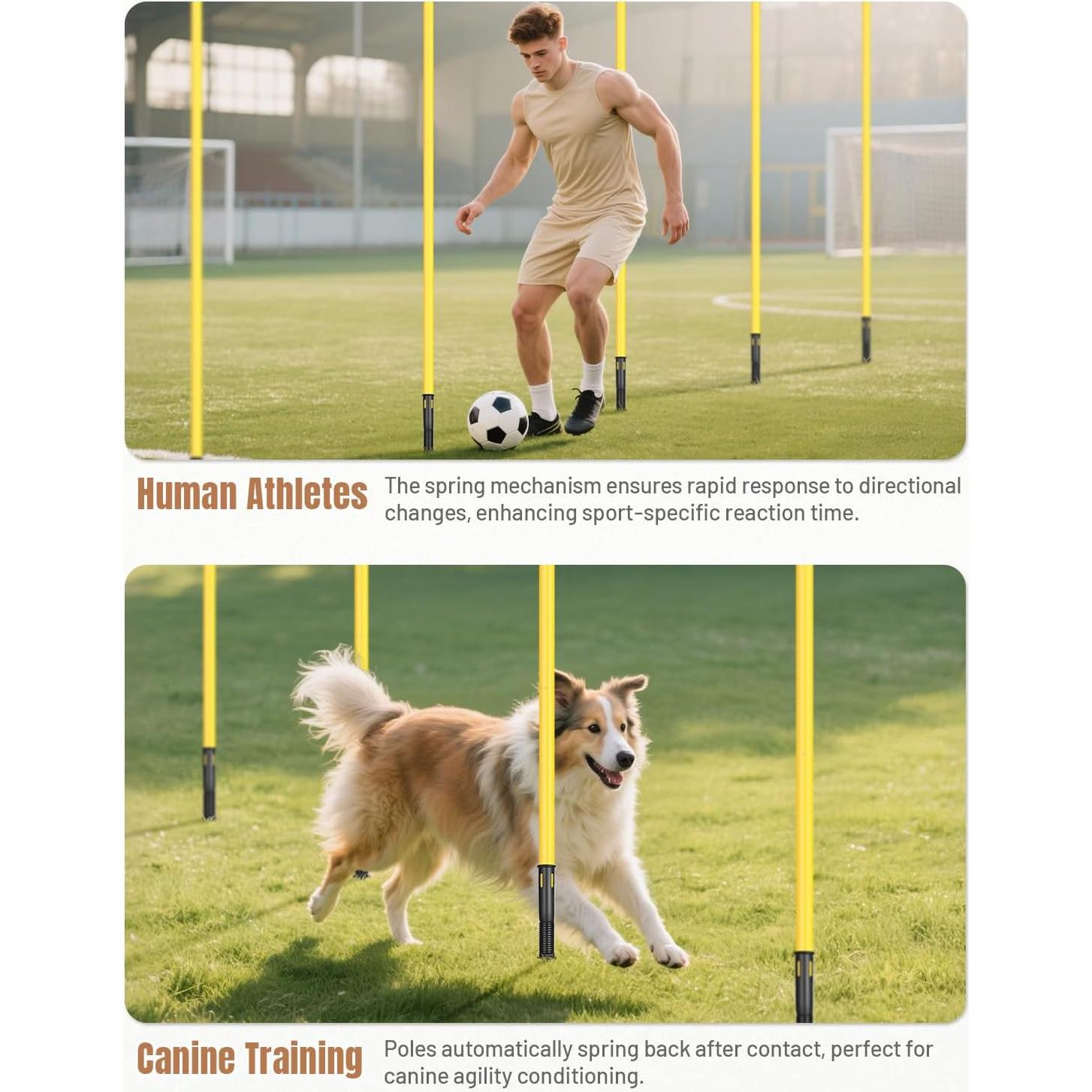 Postes de Agilidad GHB 1.83m Pack de 6 para Entrenamiento