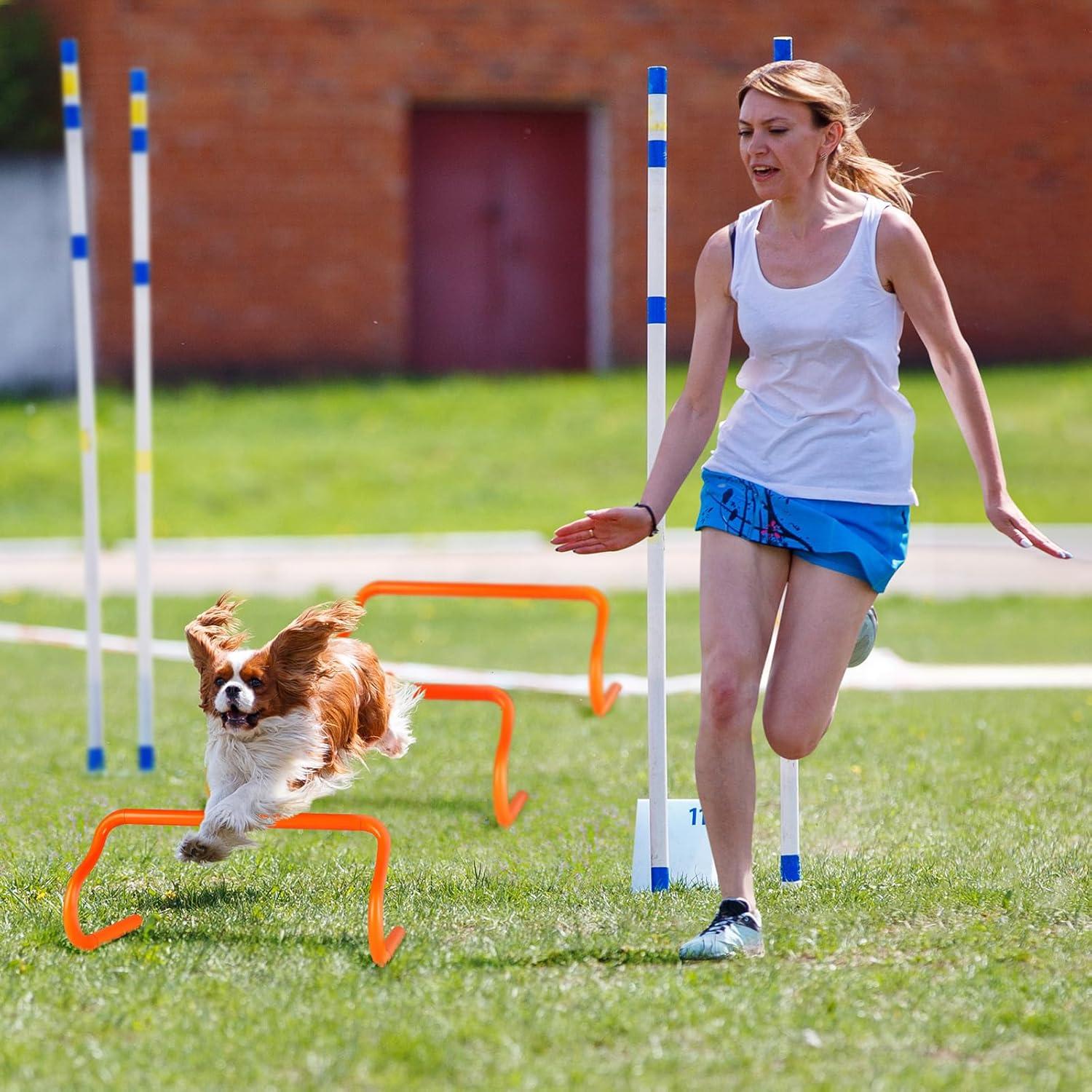 Equipo de Entrenamiento de Agilidad SMTPDT - 10 Saltos y 10 Conos