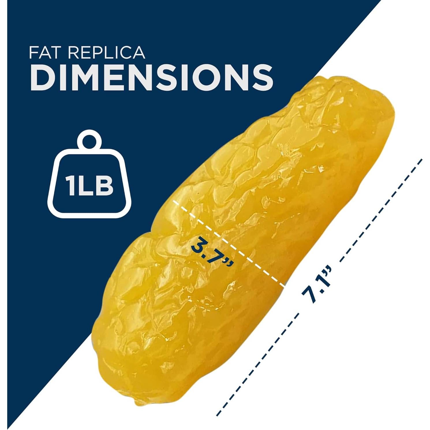 Réplica de Grasa Humana 1 kg Evviva Sciences Modelo Realista