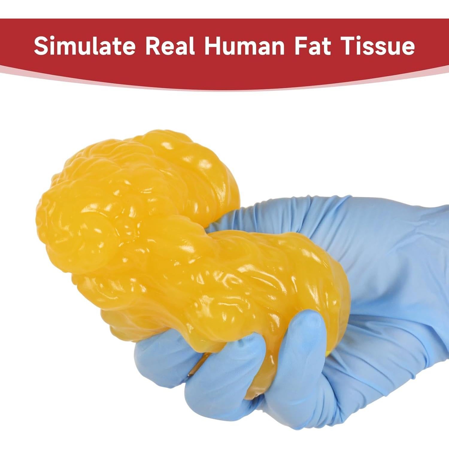 Réplica de Grasa Corporal SimCoach 0.20 kg para Nutricionistas