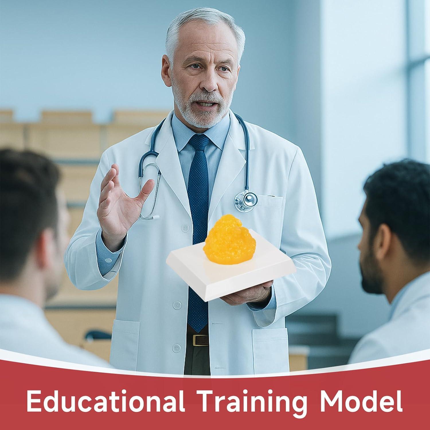 Réplica de Grasa Corporal SimCoach 0.20 kg para Nutricionistas