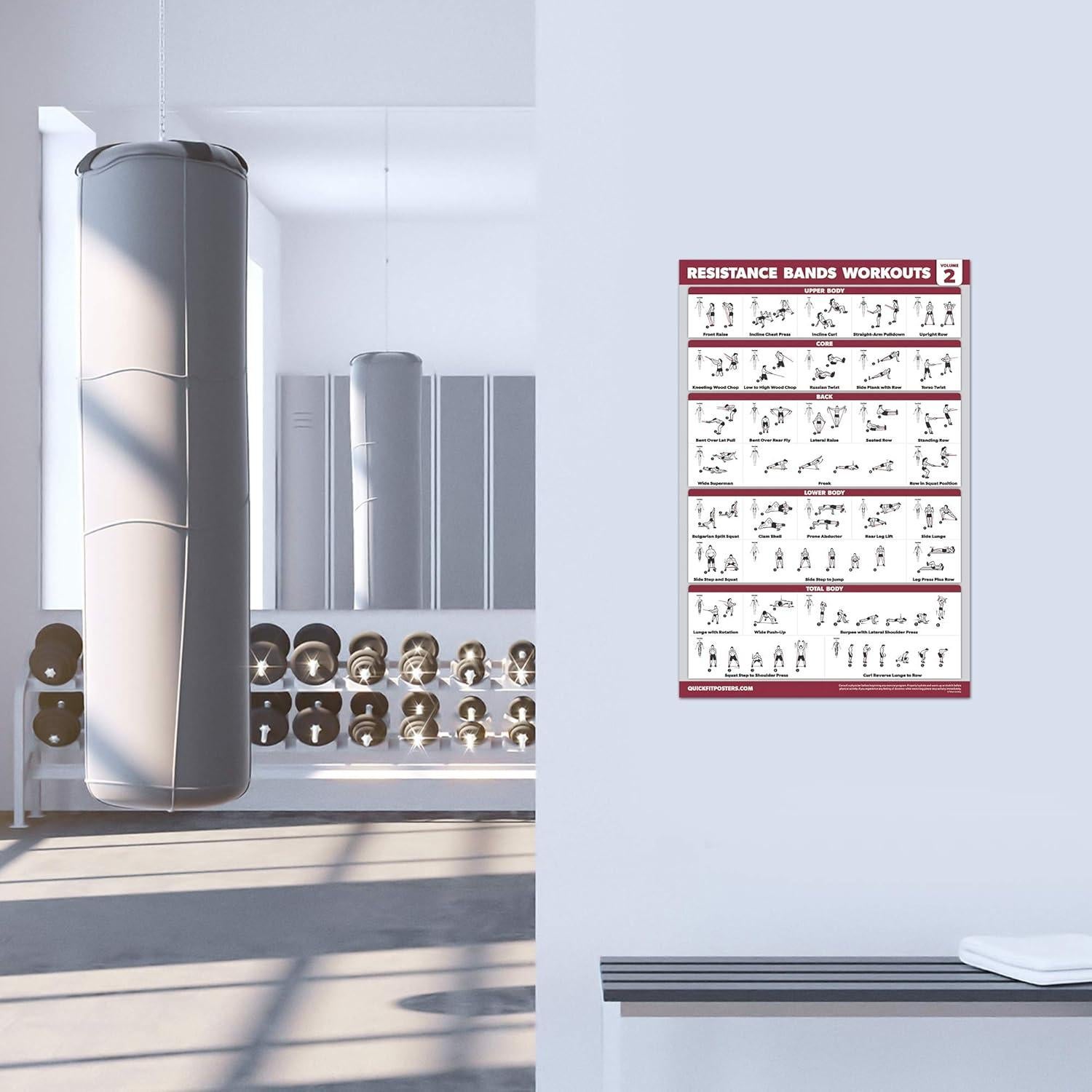 Carteles de Ejercicio Laminados Palace Learning - Bandas de Resistencia