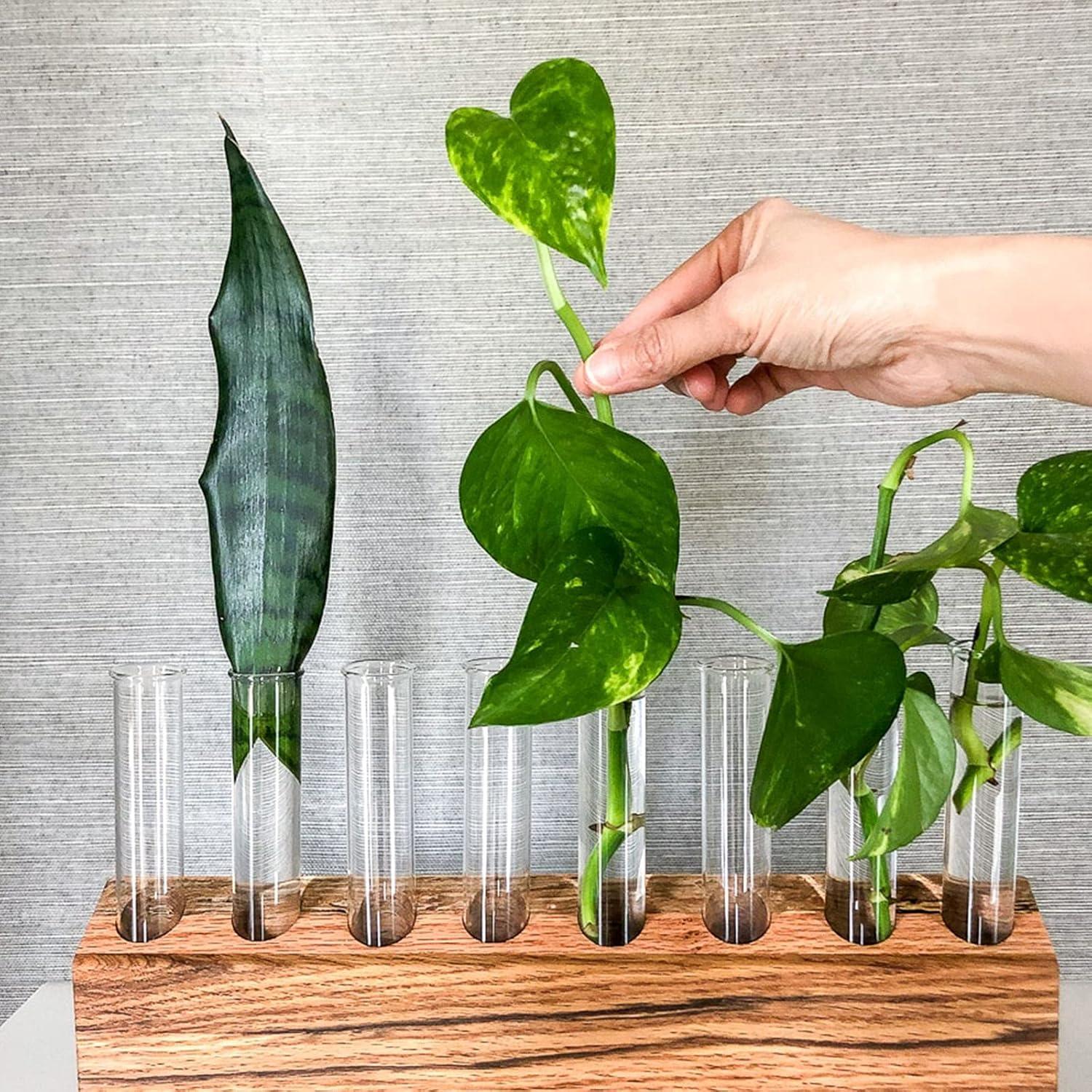 Tubo de Ensayo de Vidrio DEPEPE 25pcs 50ml 25x140mm con Corcho