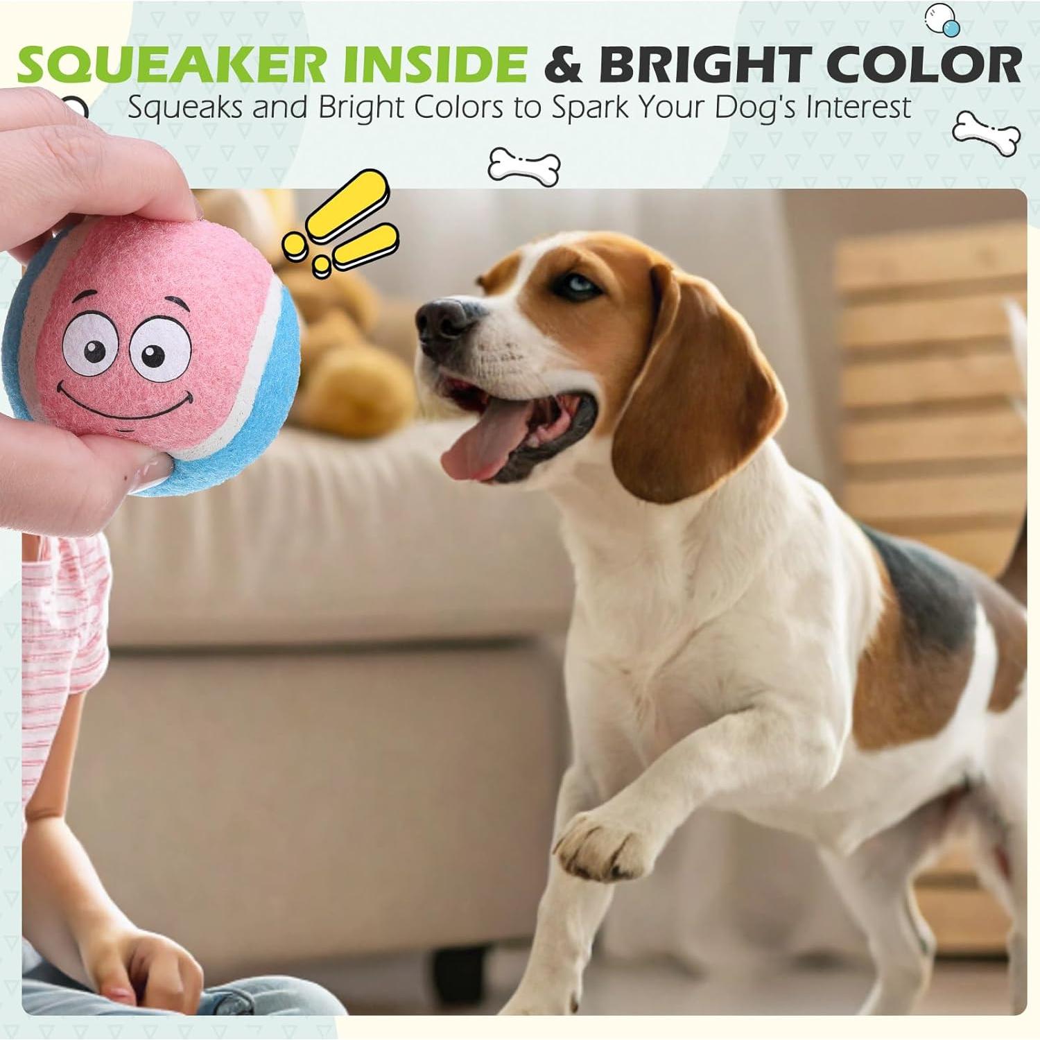 Pelotas de Tenis para Perros EXPAWLORER - Paquete de 12, 6.35 cm