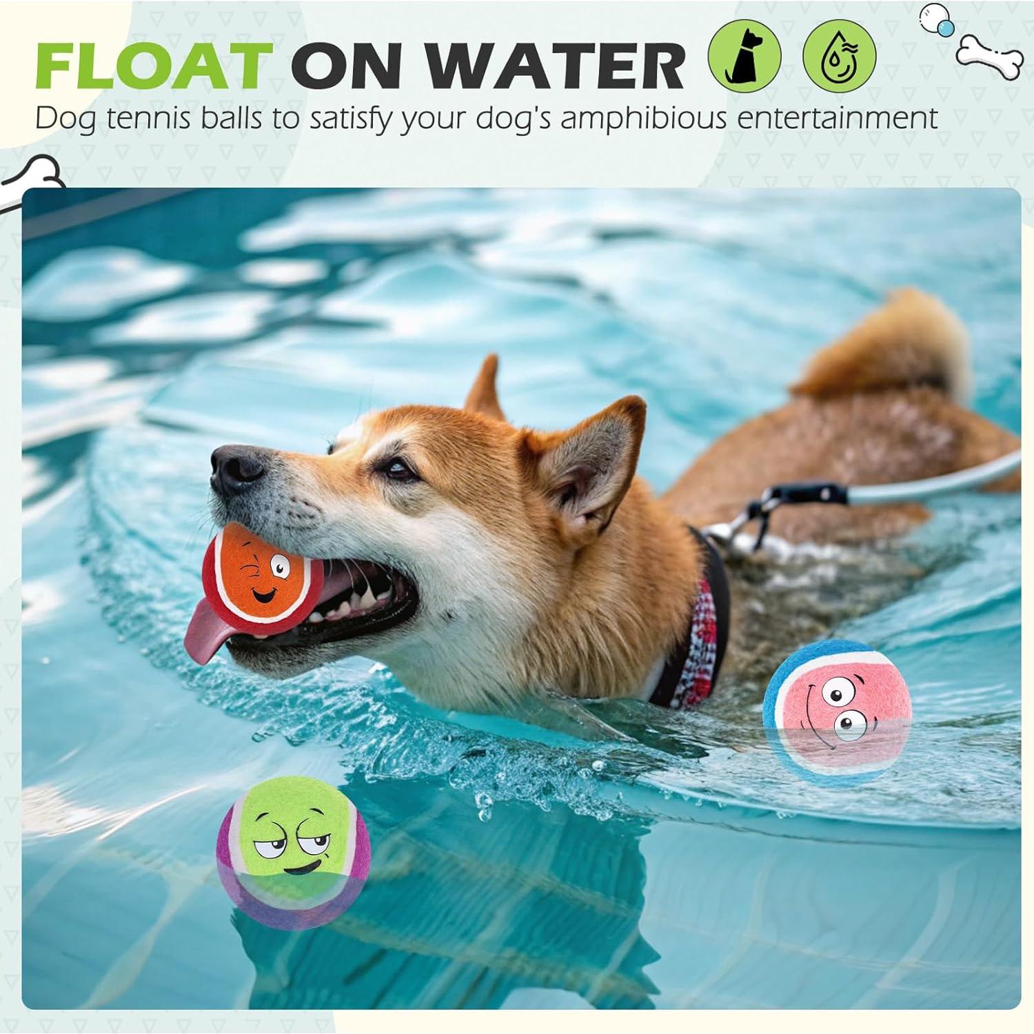 Pelotas de Tenis para Perros EXPAWLORER - Paquete de 12, 6.35 cm